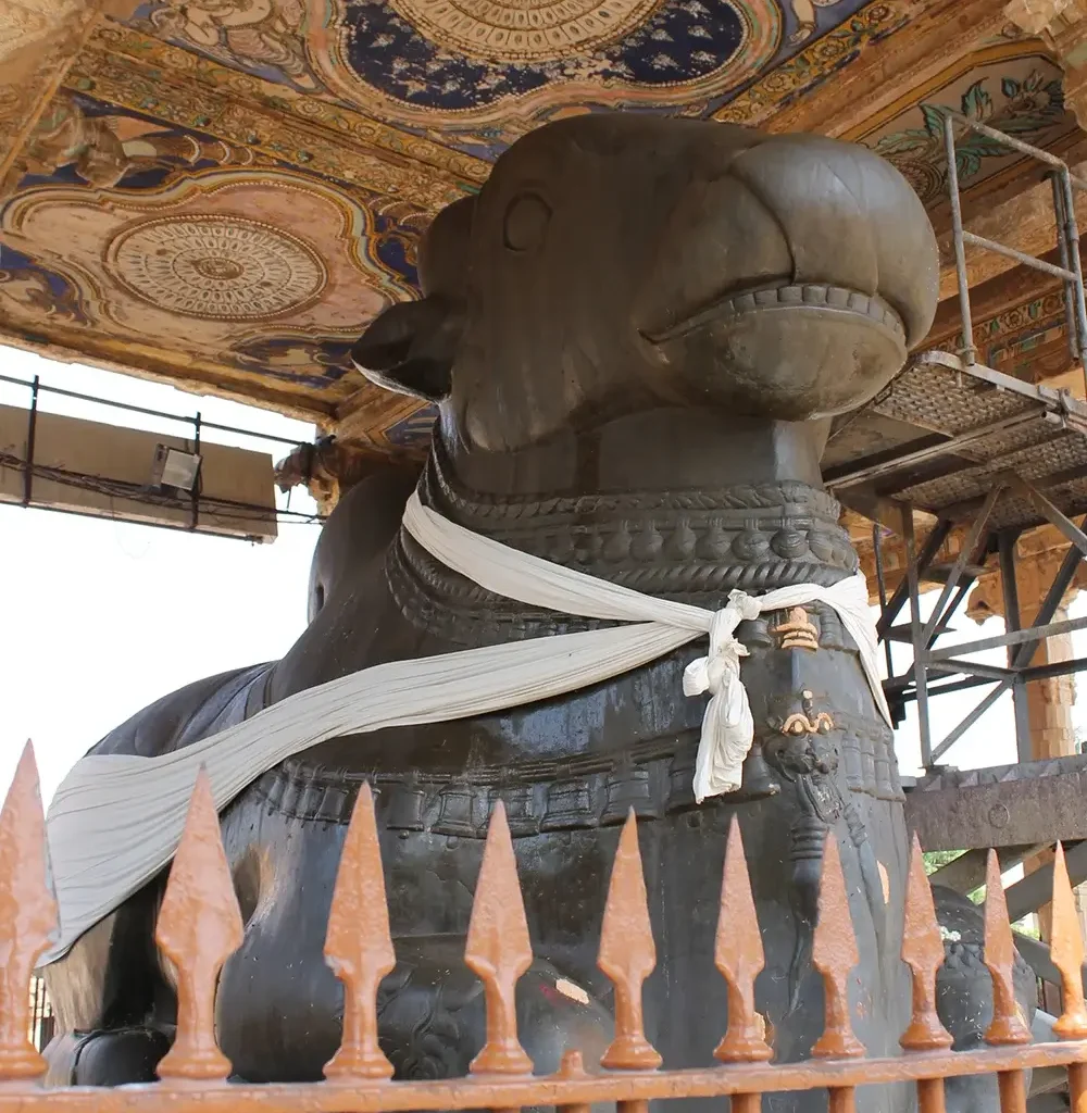 nandi in brihadeeswarar temple